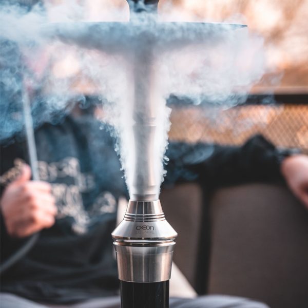 AEON Edition 4 - Lounge Frozen Panda Bowl Hookah - Image 2