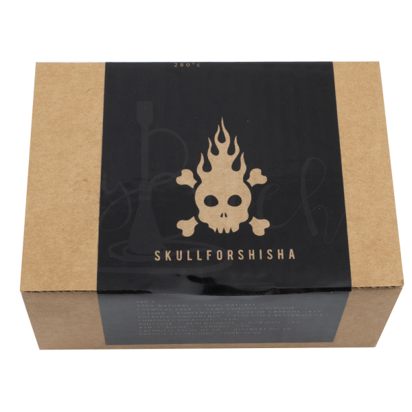 SkullForShisha hookah charcoal 10pcs - Image 2