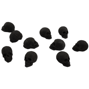 SkullForShisha hookah charcoal 10pcs