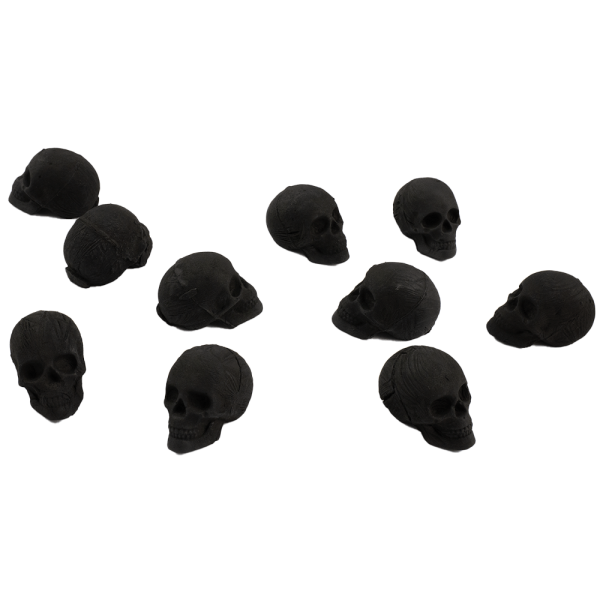 SkullForShisha hookah charcoal 10pcs