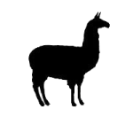 Alpaca